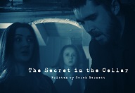 The Secret in the Cellar